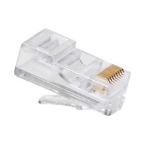 conector rj45 macho cat5e sohoplus